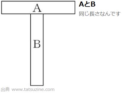 引用:　図3-8-3　同じ長さでも､縦の方が<b>長く錯覚</b>してしまう｡
