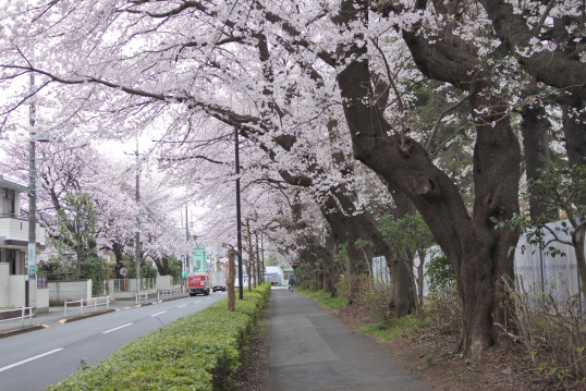 一橋学園駅