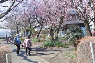谷保駅